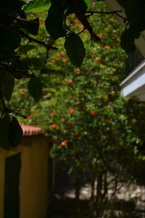 Giannatos Studios- Isabella Poros (Kefalonia) Exterior foto